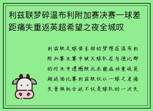 利兹联梦碎温布利附加赛决赛一球差距痛失重返英超希望之夜全城叹 利兹联梦碎温布利附加赛决赛一球差距痛失重返英超希望之夜全城叹